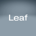 фото Leaf